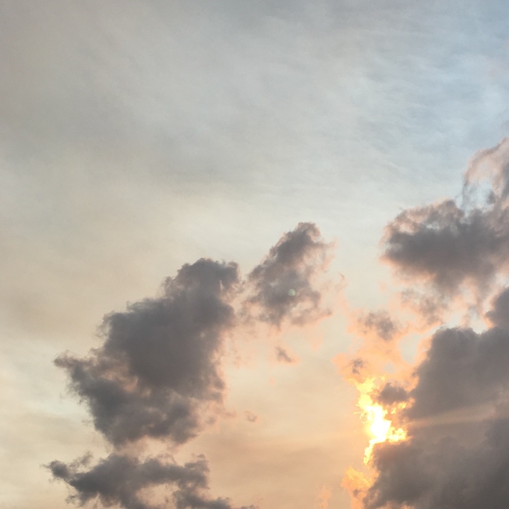 Meet your Posher, Nelly